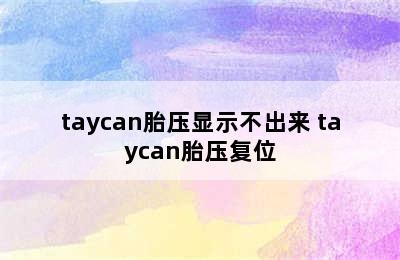 taycan胎压显示不出来 taycan胎压复位